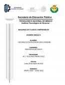 MAQUINAS DE FLUIDOS COMPRESIBLES