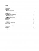 PAE RCIU y parto pretermino