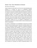 Deforestación en el Amazonas