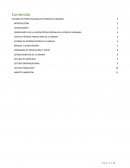 ESTUDIO DE PREFACTIBILIDAD EN CERDOS EN AGRAMIA