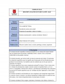 Sistema osteomuscular y sistema circulatorio Tutoría 2