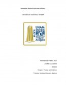 Ensayo Proceso Administrativo