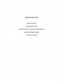 Película Control Total