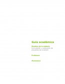 Formulación y evaluación de proyectos de inversión