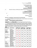 Datos Goniométricos miembro superior