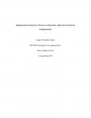 Organizaciones Estructura y Proceso: La Naturaleza y Bases de la Estructura Organizacional