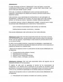 Alfabetización, concepto y niveles