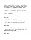 Auditoria ambiental y otras auditorias