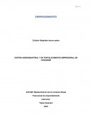 Emprendimiento por cristian torres castro