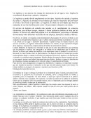 ENSAYO SERVICIO AL CLIENTE EN LA LOGISTICA