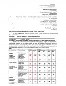 Datos Goniométricos miembro inferior