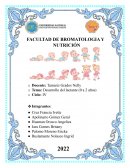 DESARROLLO DEL LACTANTE