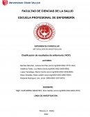 Clasificación de resultados de enfermería ( NOC)