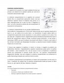 Sindrome compartimental