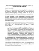 MEDIDAS QUE TOMÓ EL ESTADO RESPECTO AL CUIDADO DE LAS LOMAS, SEA POSITIVAS O NEGATIVAS LAS MEDIDAS