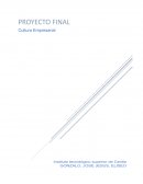 Desarrolladores de aplicaciones móviles “Mega”