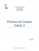 Practica de campo centro comercial CORO MALL