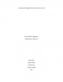 ANALISIS DE MARKETING DEL HOTEL ZUANA