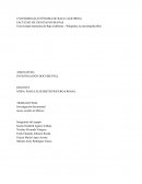 Investigación documental acoso escolar en México