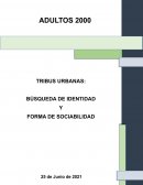 TRIBUS URBANAS: BÚSQUEDA DE IDENTIDAD Y FORMA DE SOCIABILIDAD