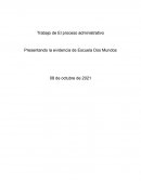 Organigrama para la empresa Escuela Dos Mundos