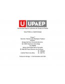 TALLER: ESTUDIO DE BROTES