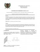 FENÓMENO DE INTERFERENCIA DE LA LUZ