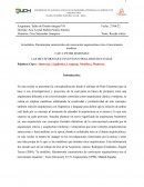 PETER EISENMAN LAS METÁFORAS QUE INVENTAN OTRAS ARQUITECTURAS