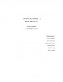 Caso de Estudio: LANGOSTINO KOKO