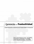 Análisis gerencial del caso de estudio GATI