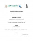 Actividad: Desarrollo motor-ideas principales