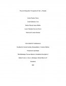 Proyecto Integrador: Percepción al Color y Tamaño