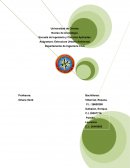 Informe Urbano Desechos Solidos