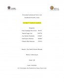 Cultura de paz.Análisis de película