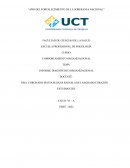 INFORME DIAGNÓSTICO ORGANIZACIONAL