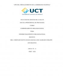 INFORME DIAGNÓSTICO ORGANIZACIONAL. Página 1