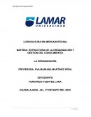 ESTRUCTURA DE LA ORGANIZACIÓN Y GESTIÓN DEL CONOCIMIENTO