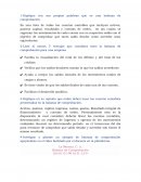 Balanza de comprobación