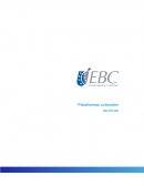 Plataformas culturales