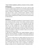 Ensayo Cuidados hospitalarios, paliativos y de duelo en el niño y su familia