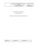 PROCEDIMIENTOS DE TRABAJO SEGURO PARA RIESGO ELECTRICO