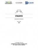 ENSAYO INGENIERIA ECONOMICA