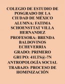 PROCESO DE HOMINIZACIÓN