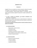 CASA IMAGINATIVE TOYS