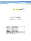 ANATOMIA PATOLOGICA “GESTION DE BIOPSIA”