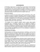 Evidencia 1.1 Caracteristicas de un lider