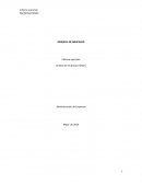 Informe ejecutivo Marketing Pañales