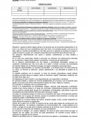 Informes ardín de infantes N° 901 “Manuel Belgrano”