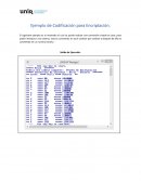 Ejemplo de Codificación para Encriptación