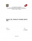 ENSAYO DEL PRODUCTO INTERNO BRUTO (PIB)